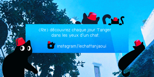 Le Chat Tanjaoui – Boutique Rue Velasquez