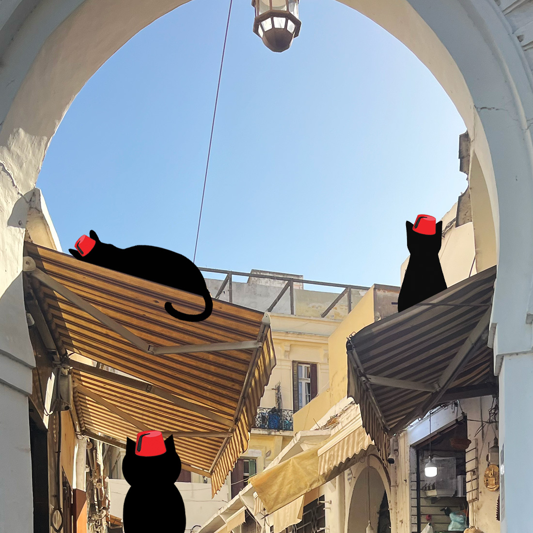 coffee and-coffee-beans