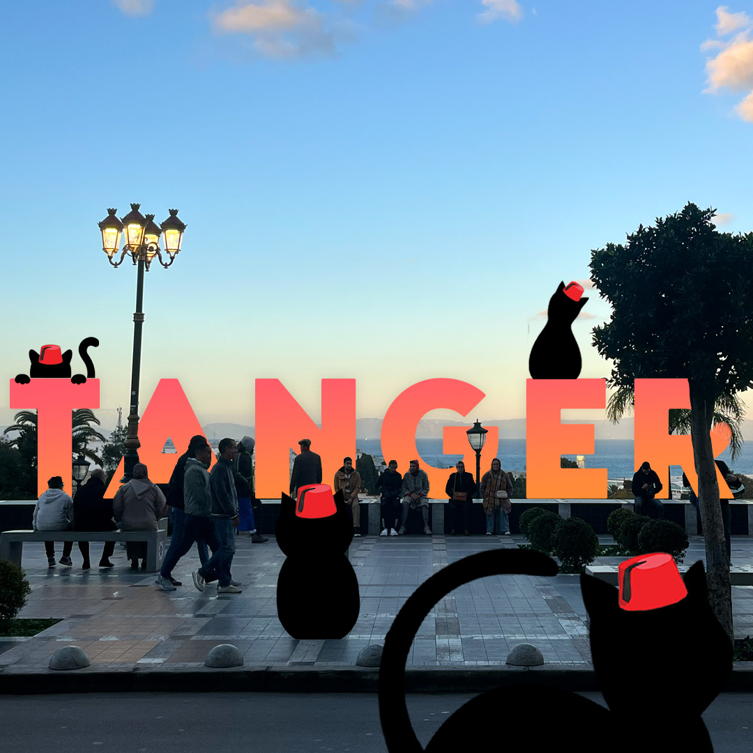 Sans%20titre 4%20copie