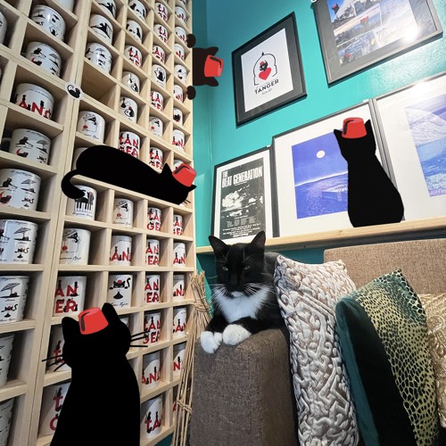 Sans%20titre 4%20copie