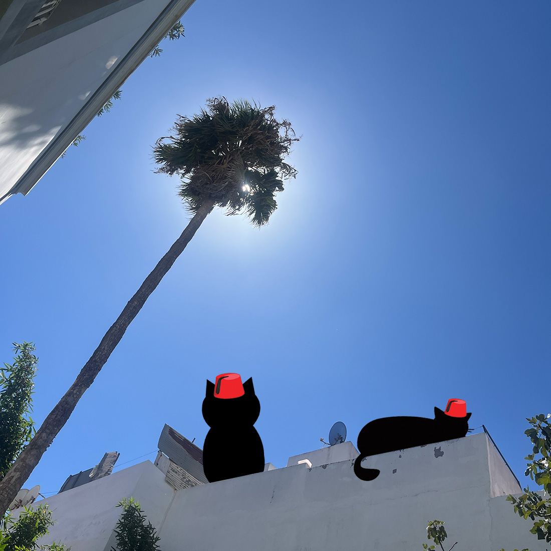 Latte%20and%20croissant